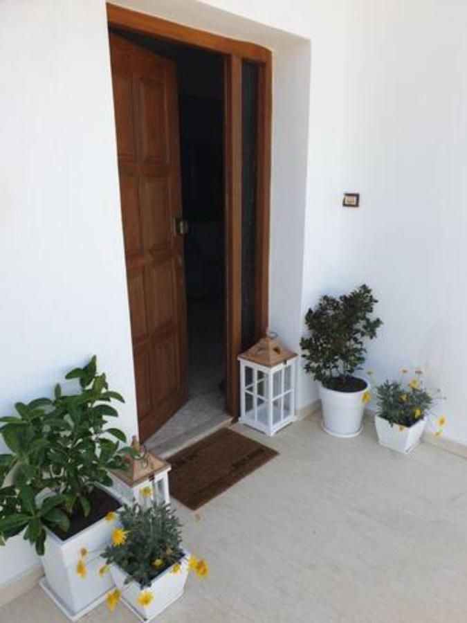Palaikastro Holiday Apartment Sitia  Exteriér fotografie